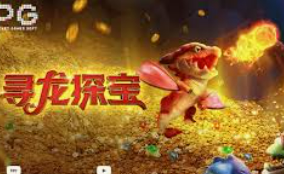 星空体彩app2024最新版