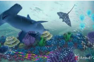 星空体彩app手机版